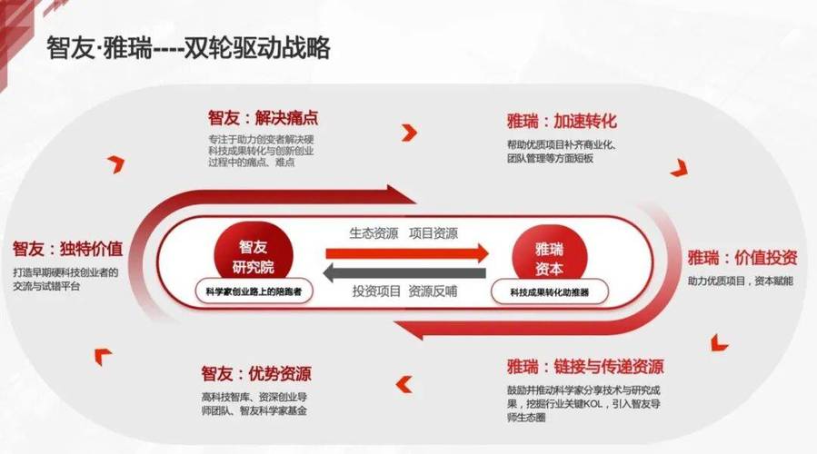 网络信息公司的生存之道,从策略到机遇的双轮驱动