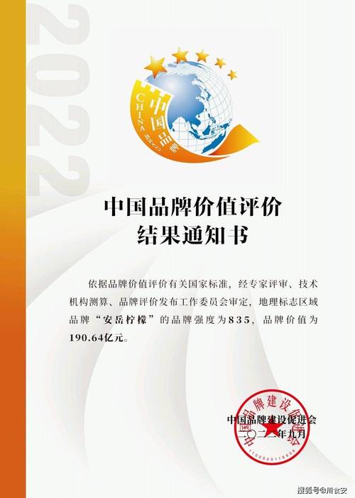 安岳网络推广公司，助力您的网络推广之旅