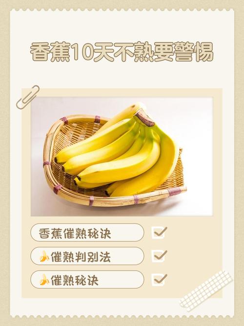 深圳香蕉,本地市场的新机遇与本地化策略