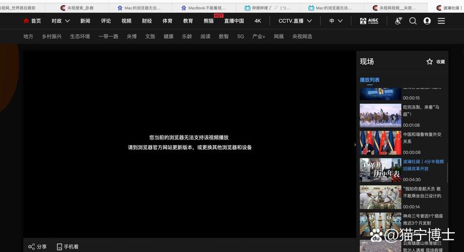 短视频平台单平台显示/播放失败问题指南