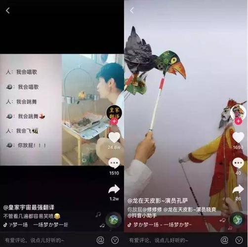 技术指南,抖音双击刷屏绝招全解析
