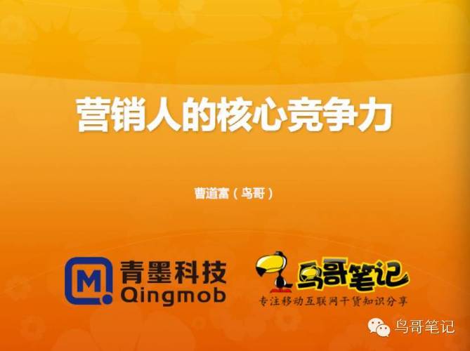 辽宁网络推广指南,从目标群体到核心竞争力