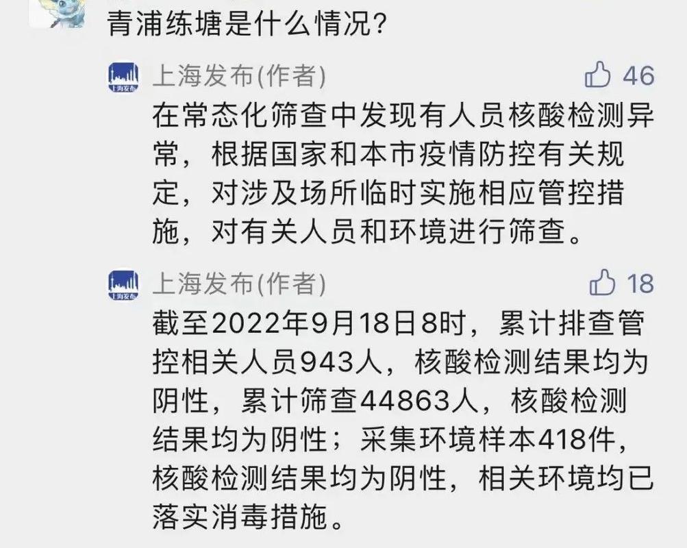 上海疫情最新动态,防控指南与公众反应