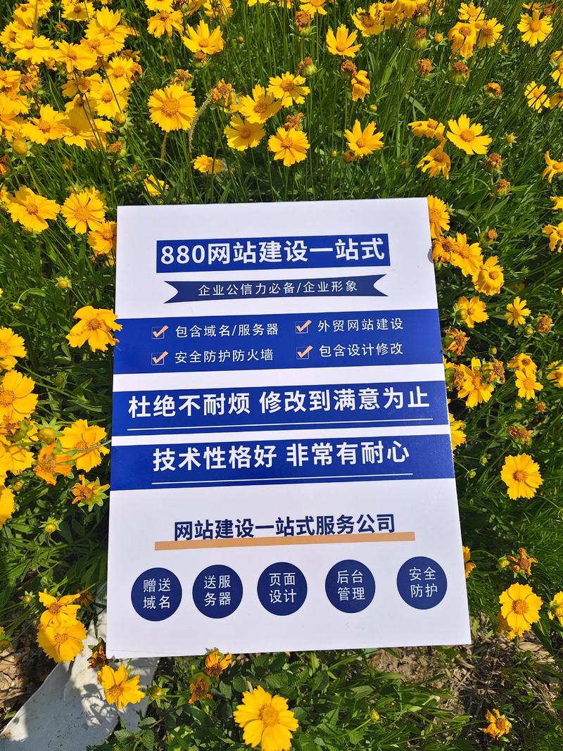 哈尔滨廊坊网站建设指南