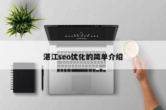 湛江SEO营销指南