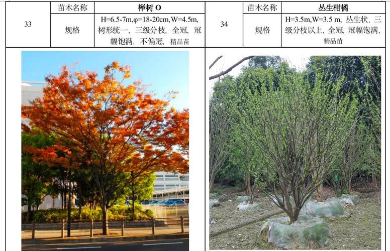 步骤一,选型与设计