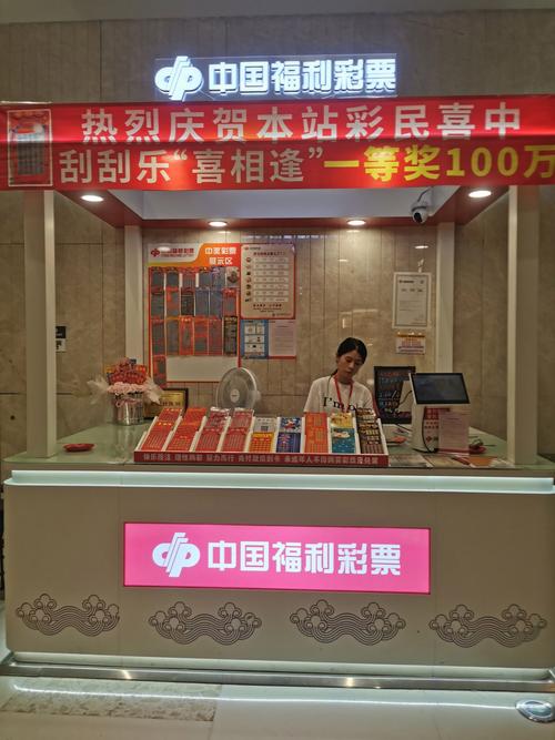 彩票建站指南，从初始到成功