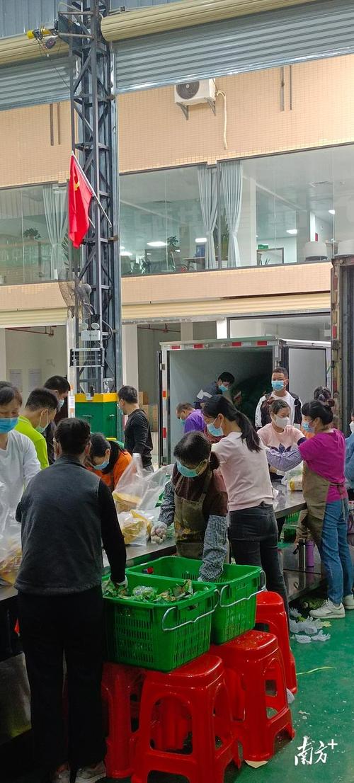 丰顺疫情揭阳最新消息