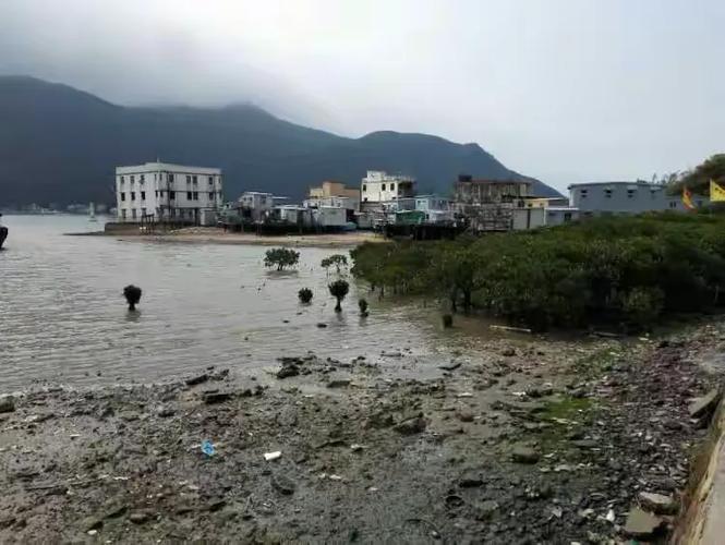 疫情无处不在，天涯渔村的困境与希望
