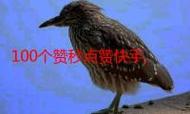 抖音秒刷网蚂蚁，如何快速获取dy网站免费搜索结果