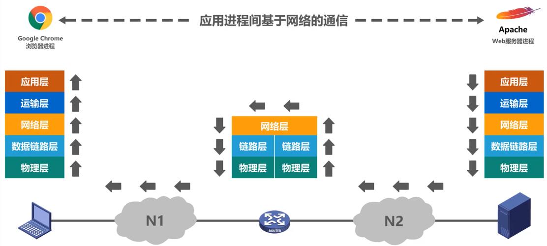 一、网络的分类