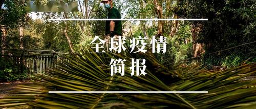 意大利疫情大使最新消息，疫情爆发的全球紧急指南