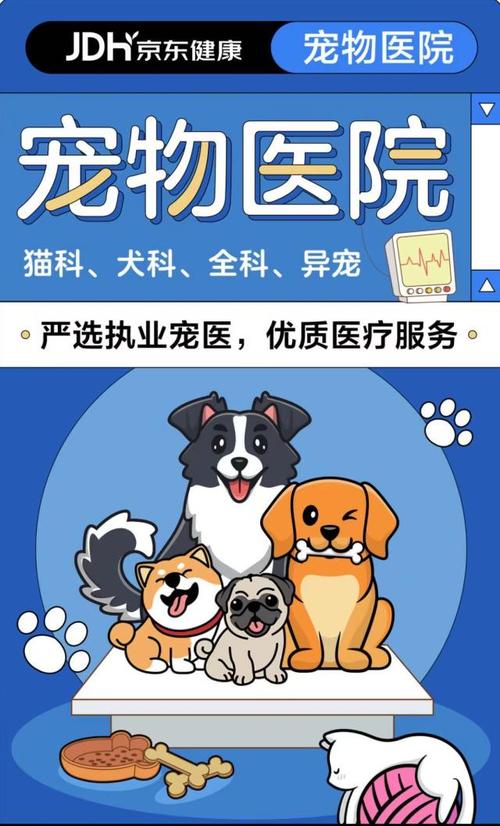 狗狗网站策划书,打造专业、健康的宠物网站