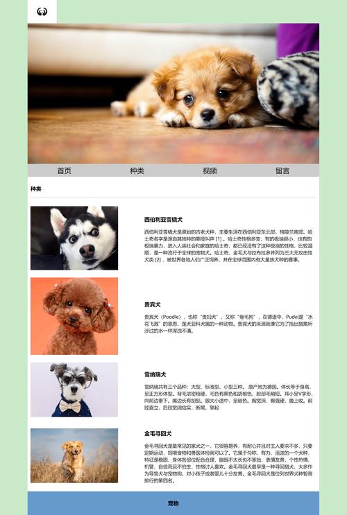 狗狗网站策划书，打造专业、健康的宠物网站