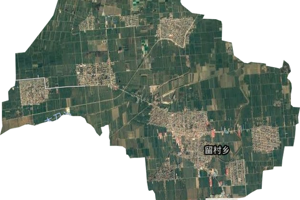 沙河留村 latest update:疫情最新动态揭露