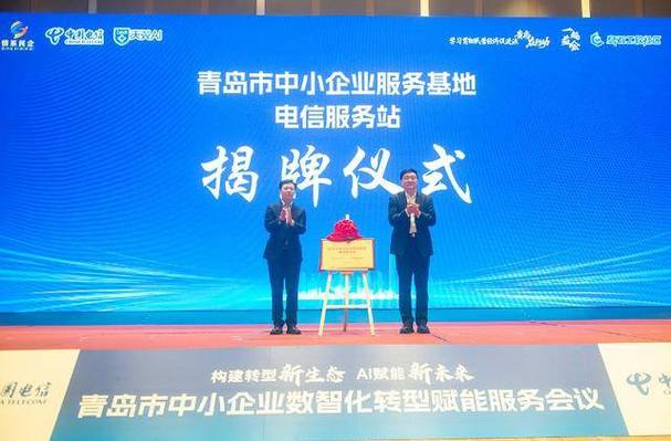 青岛科技网络公司，网络技术与服务的创新领导者