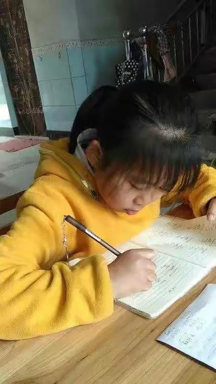 罗庄岭上村疫情防控指南,从停课不停学到在家不离校的解构