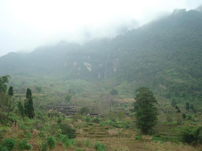 指引,疫情防控指南,关注泥城公平村最新动态