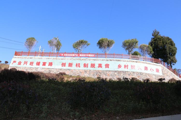 沂南网络，连接就业与创业的桥梁