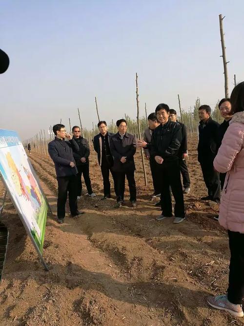 磁县沙营疫情最新动态