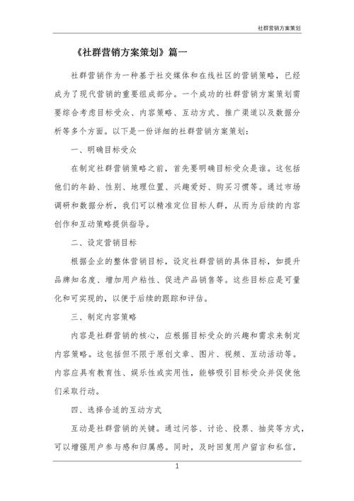 网络营销方案制定