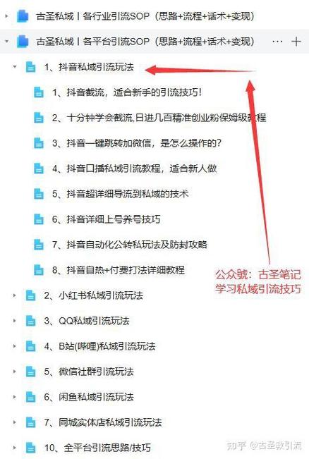 抖音双击广告降权问题及解决方案指南