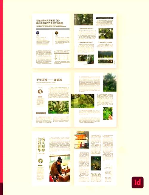自媒体作者角色设定指南，提升文章排版与传播效率