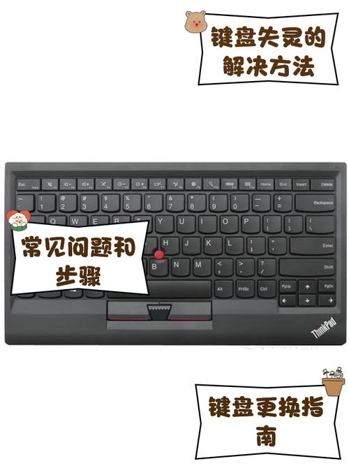 联想笔记本电脑，全面解析与实际使用指南