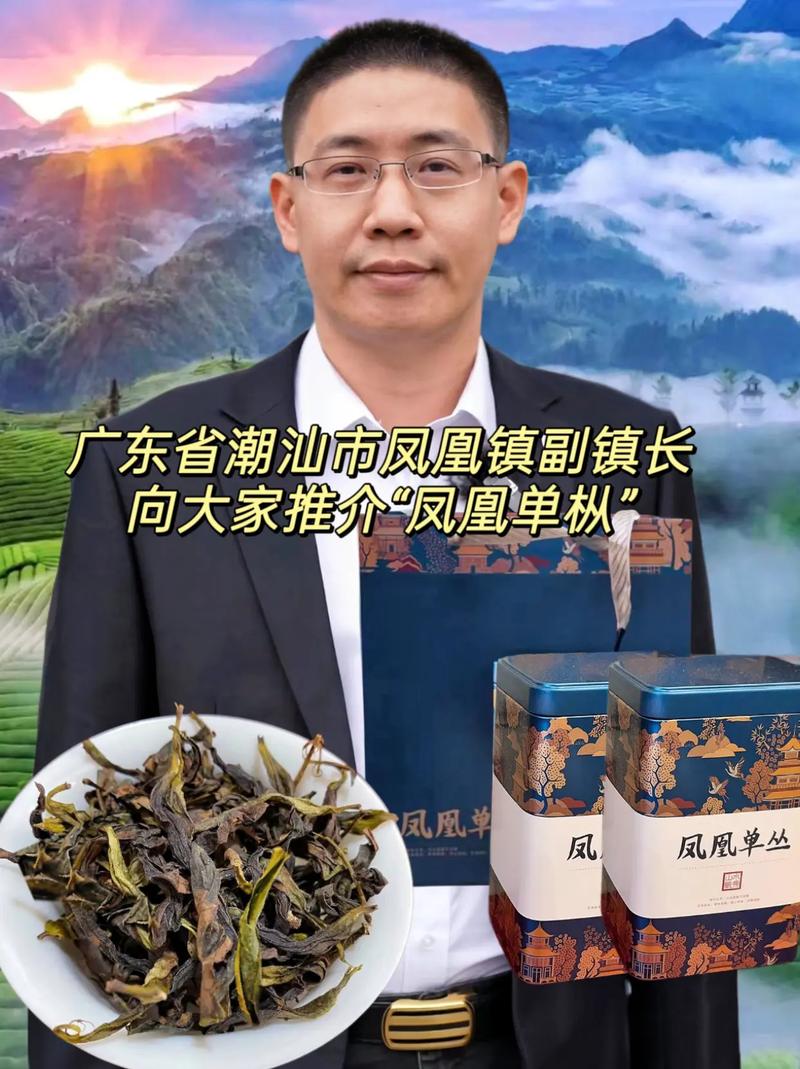 潮汕凤凰镇疫情最新消息