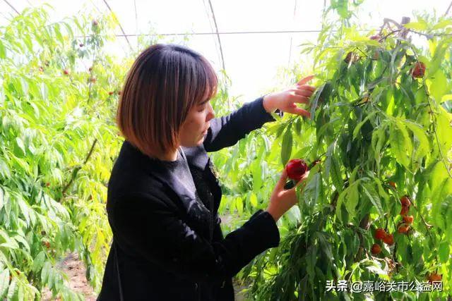 如何在嘉峪关龙岗开展网络推广？