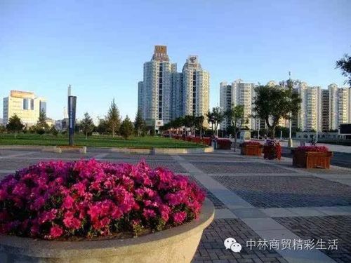 如何在嘉峪关龙岗开展网络推广?