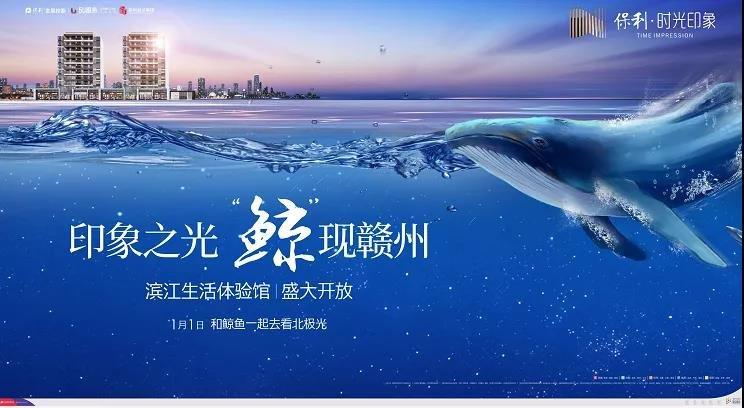 免费营销，赣州的隐藏力量