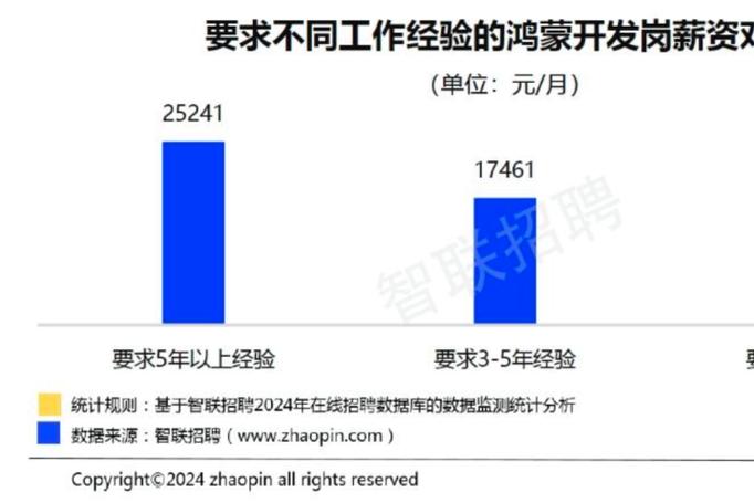 福州金山网站建设，从入门到成功之路