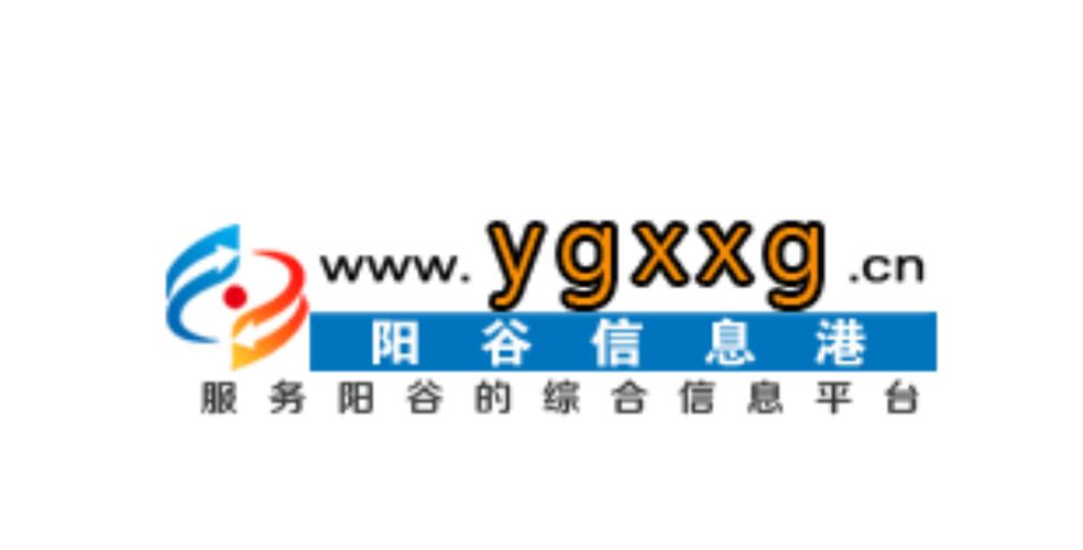 阳谷网站建设公司