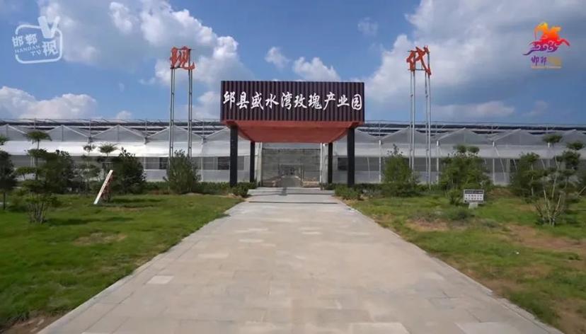 邱县品牌建设,打造乡村振兴的新引擎