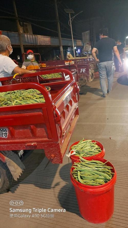 铁西夜市疫情最新动态,你了解了吗?