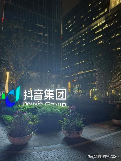 抖音也属于网络吗