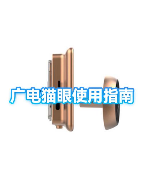 猫眼网络，你需要的视频平台指南