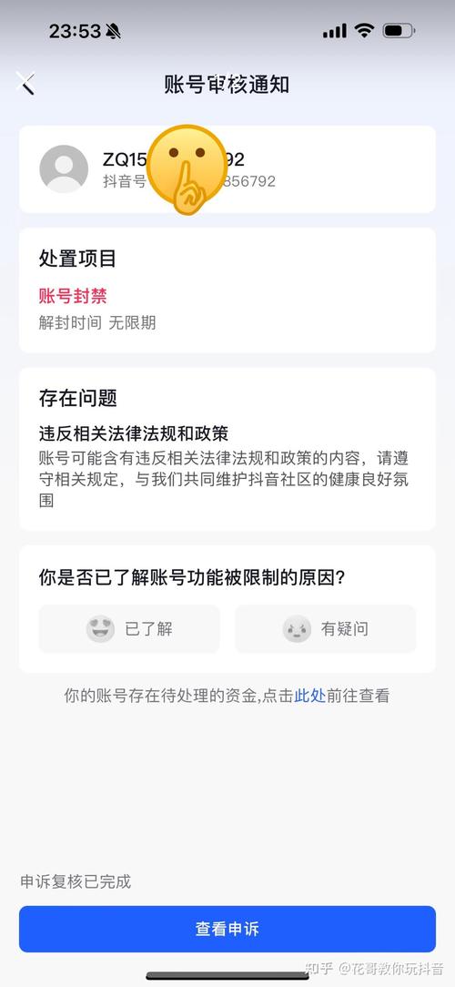 抖音刷屏双击封号问题及解决指南