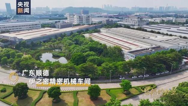 网络公司顺德，发展机遇与挑战的全解析