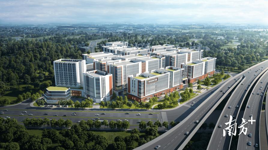 南沙高端网站建设,技术与政策的完美结合