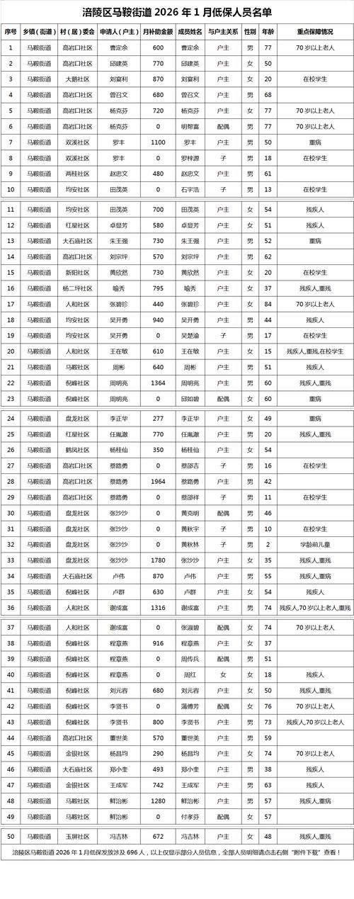 阆中网络公司,是一家以网络运营、内容制作和品牌推广为核心的现代化公司。自成立以来,阆中网络始终秉持专业、创新、用户至上的核心价值观,致力于为客户提供高效、精准的网络服务和优质的产品