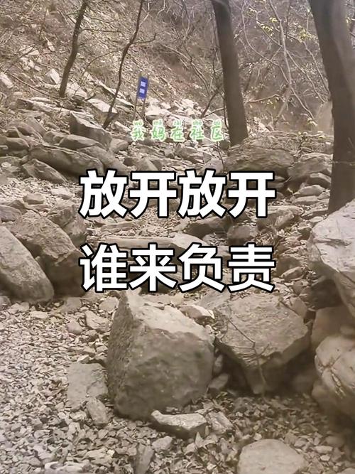 疫情之下，河北居民的困境与希望