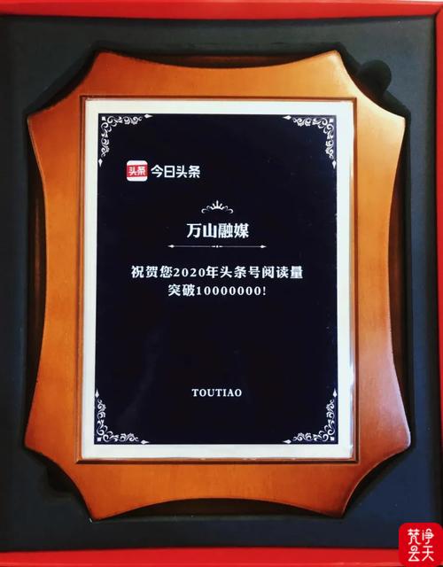 如何在抖音官方刷赞中轻松赚取高收益?