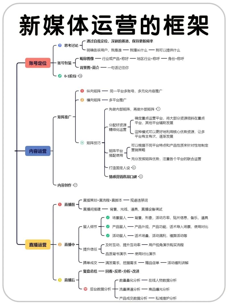 在石家庄,构建高效内容运营的快速传播图