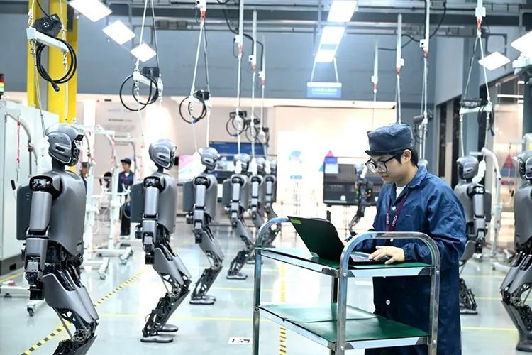 柳州网络公司的崛起，从技术到市场的全面解决方案
