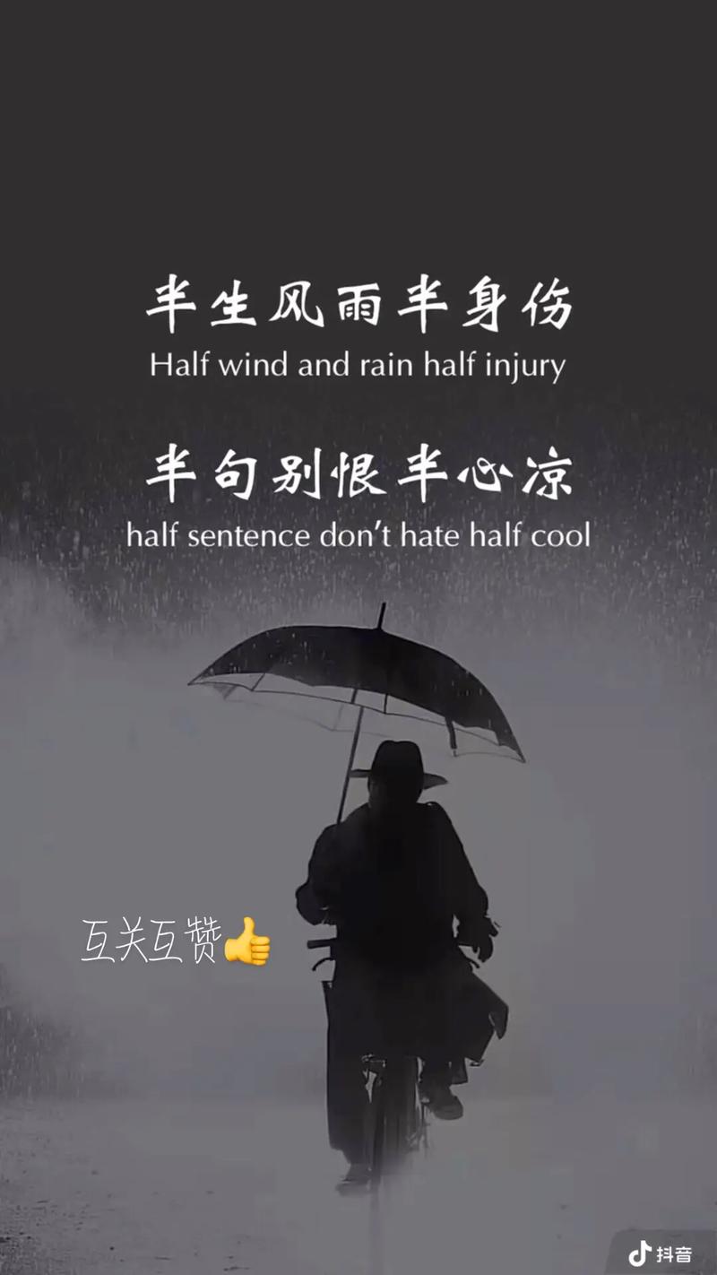 是抖音的‘双刃剑’如何避免被限流?