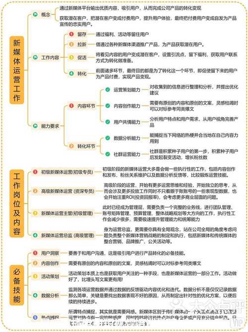 如何从一个普通的自媒体公司转型成为专业的网站运营平台