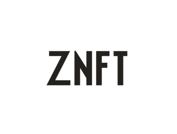 如何高效优化DQNFT多开配置,实用指南与技巧
