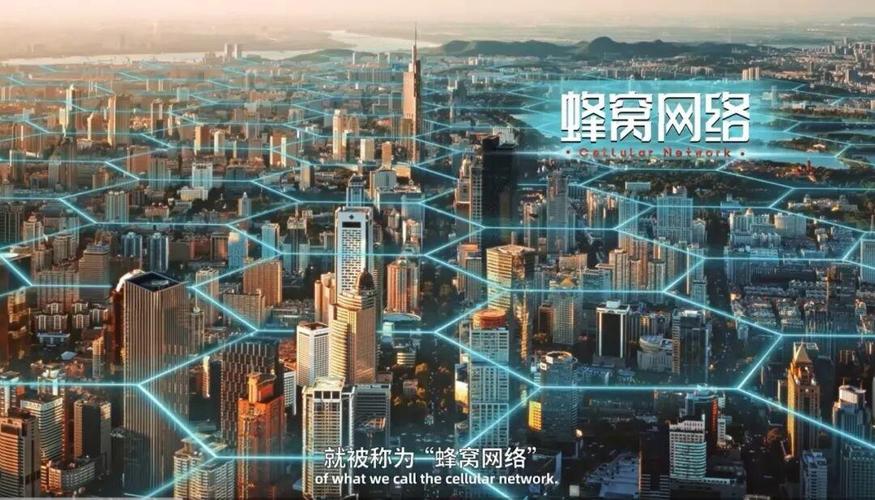 网络公司,选择的未来